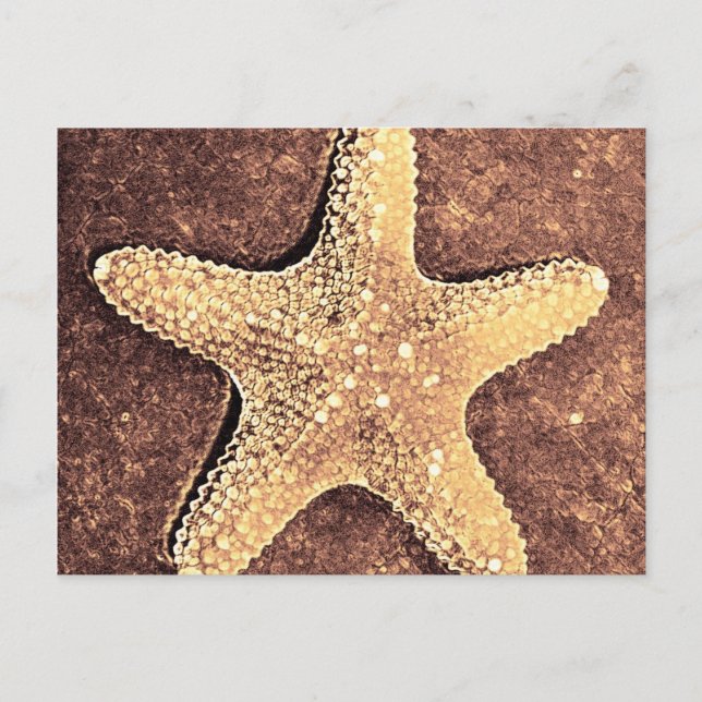 Bronze Starfish-vykort Vykort (Framsida)