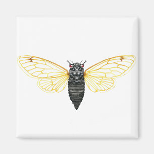 Brood X 17 års periodisk Cicada Magnet