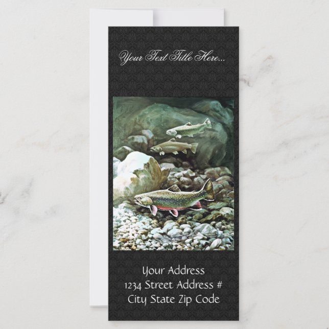 Brook Trout (Framsida)