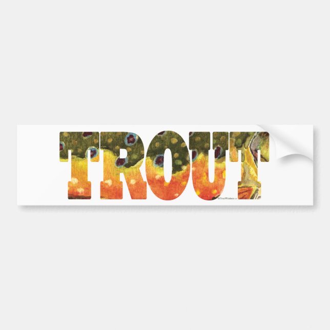 Brook Trout Art Bildekal (Framsidan)