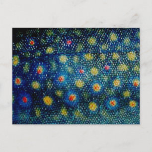 Brook Trout by PatternWear© Vykort