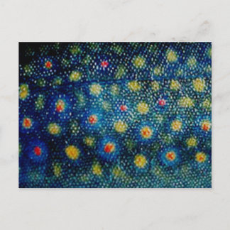 Brook Trout by PatternWear© Vykort