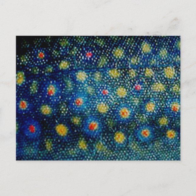 Brook Trout by PatternWear© Vykort (Framsida)