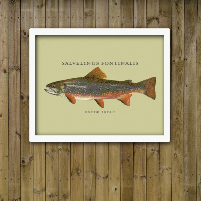 Brook Trout Fishing Poster (Skapare uppladdad)