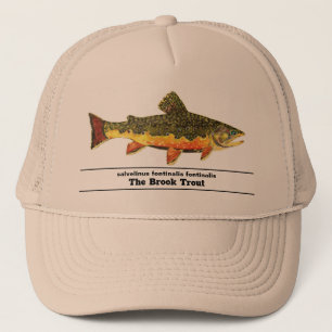 Brook Trout Flygfiske Latin Namn Ichthyology Keps