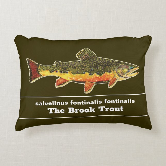 Brook Trout Flygfiske Latin Namn Ichthyology Prydnadskudde (Framsidan)