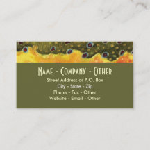 Brook Trout-Flygfisket