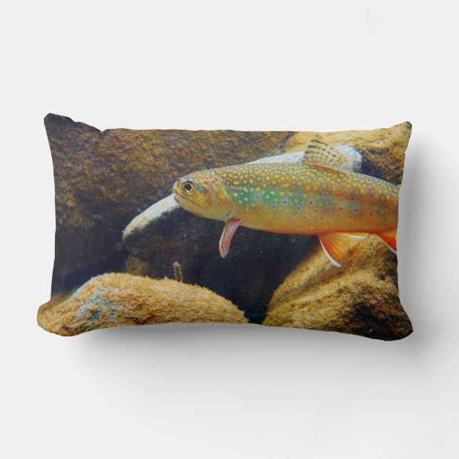 Brook trout-kudde lumbarkudde (Framsida)