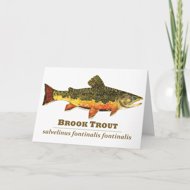 Brook Trout, latin Helgkort (Framsida)