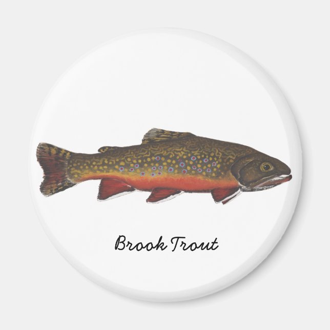 Brook Trout Magnet (Framsidan)