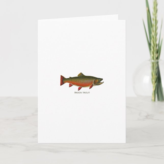 Brook Trout Male (lektningsfas) Kort (Framsida)