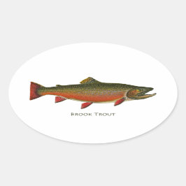 Brook Trout Male (lektningsfas) Ovalt Klistermärke