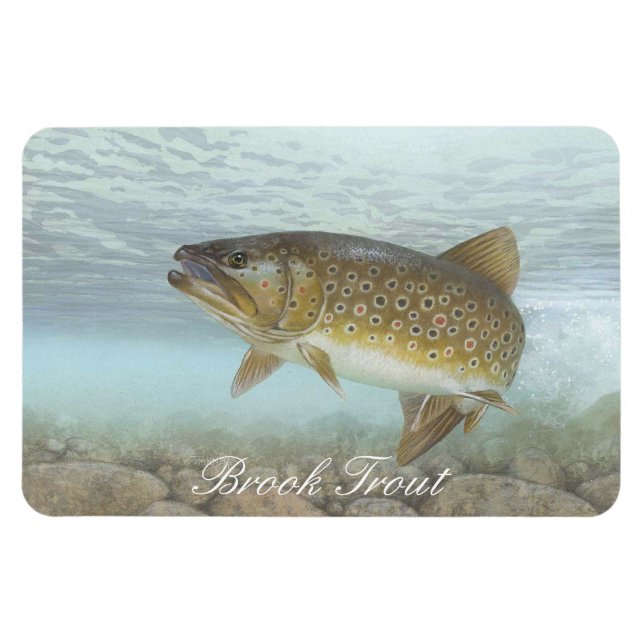 Brook Trout Painting Magnet (Horisontell)