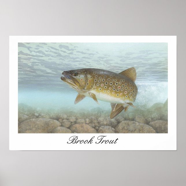Brook Trout Painting Poster (Framsidan)