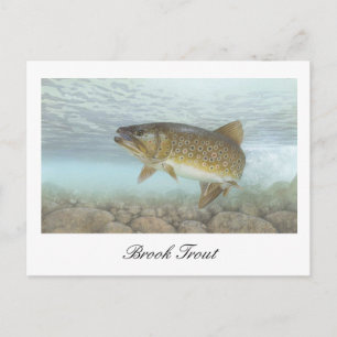 Brook Trout Painting-vykort Vykort