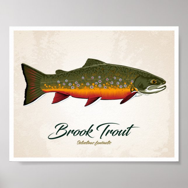 Brook Trout Poster (Framsidan)
