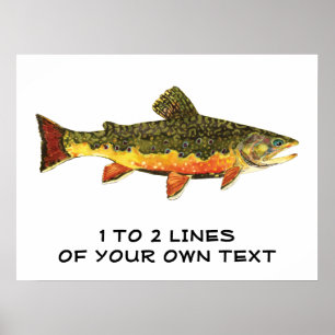 Brook Trout Poster