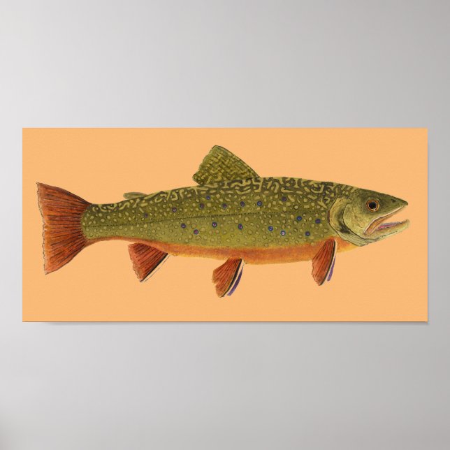 Brook Trout Poster (Framsidan)