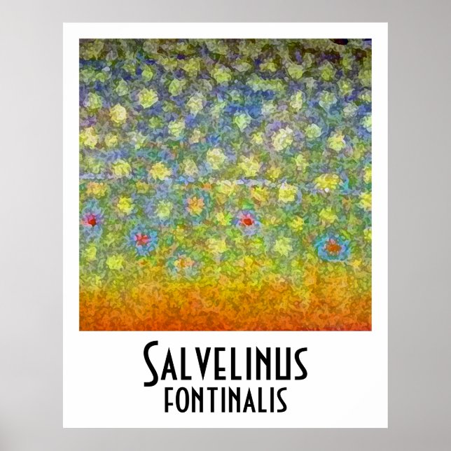 Brook Trout Poster (Framsidan)