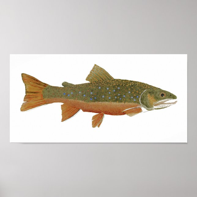 Brook Trout Poster (Framsidan)