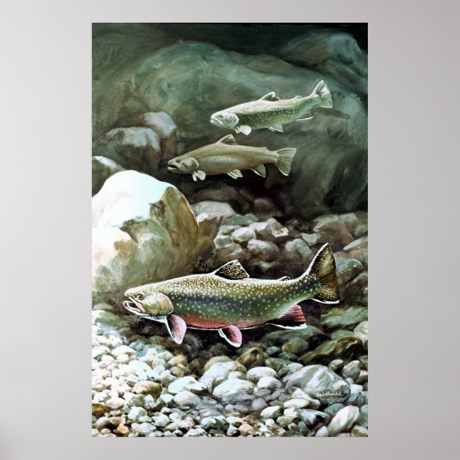 Brook Trout Poster (Framsidan)