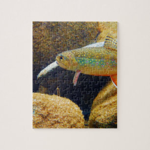 Brook Trout Pussel