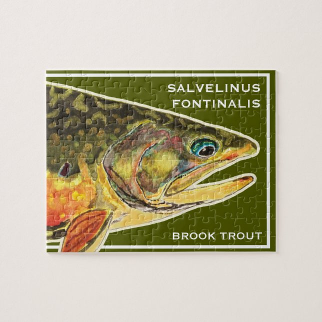 Brook Trout Salvelinus Fontinalis Ichthyologi Fish Pussel (Horisontell)