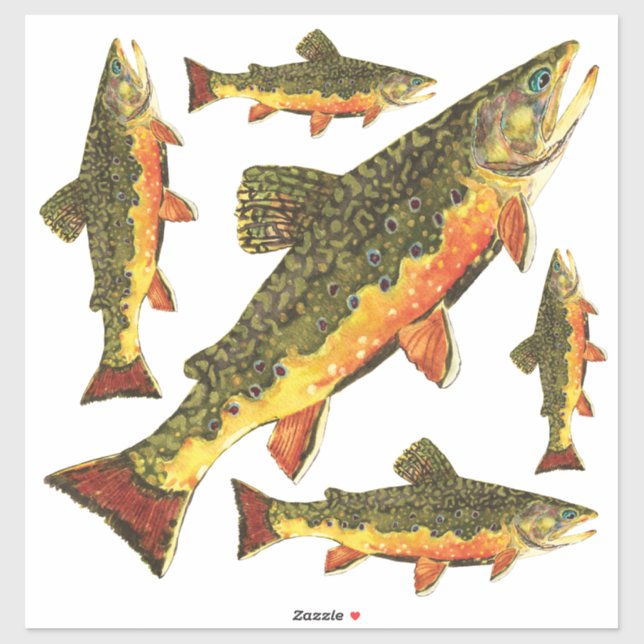 Brook Trout salvelinus fontinalis Klistermärken (Ark)