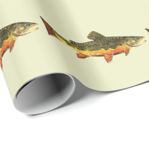Brook Trout salvelinus fontinalis Presentpapper