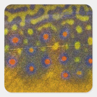 Brook Trout - Stickers