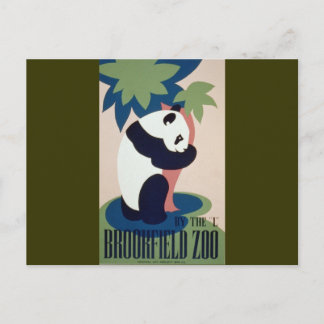 Brookfield Zoo Panda Vykort
