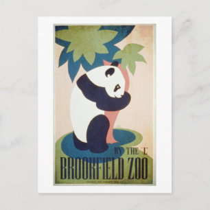 Brookfield Zoo-Panda Vykort