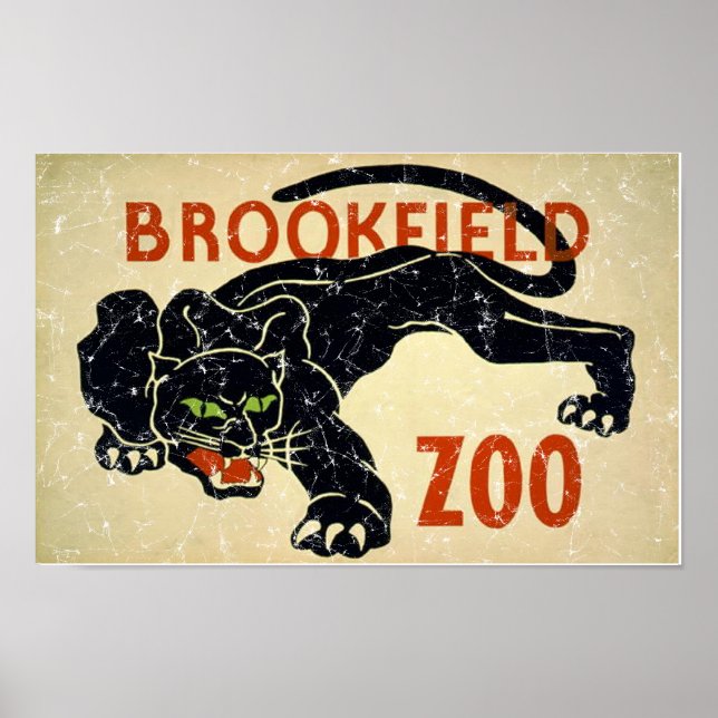 Brookfield Zoo-Panther-nödlidande Poster (Framsidan)
