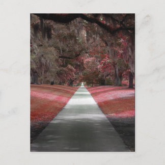 Brookgreen Gardens Vykort