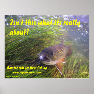 Brookie-Poster Poster