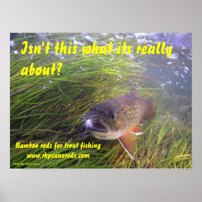 Brookie-Poster Poster (Framsidan)
