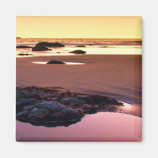 Brookings Harbour Sunset Bra Photo Magnet