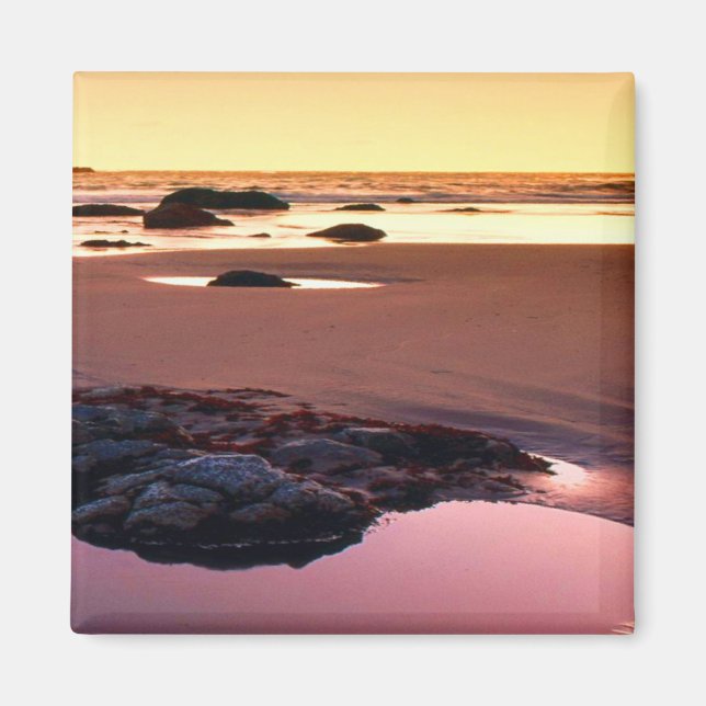 Brookings Harbour Sunset Bra Photo Magnet (Framsidan)