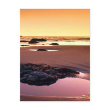 Brookings Harbour Sunset Bra Photo