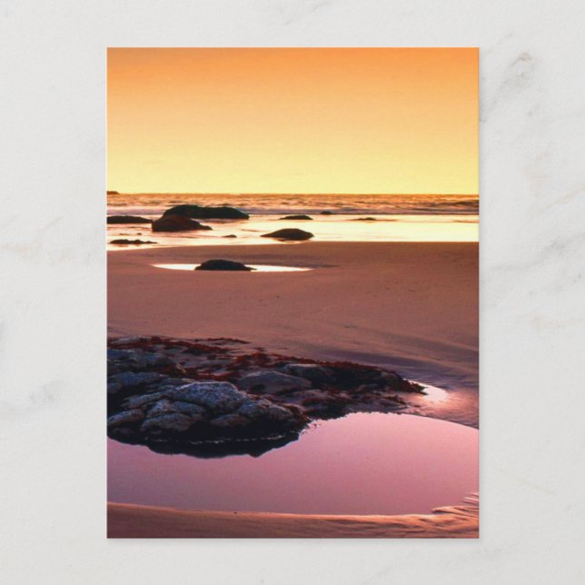 Brookings Harbour Sunset Bra Photo Vykort (Framsida)