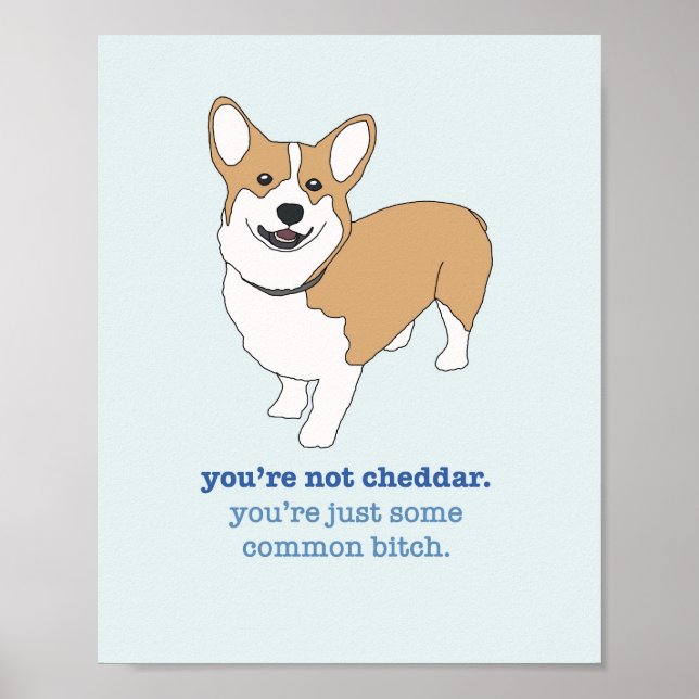 Brooklyn 99 Cheddar Poster (Framsidan)