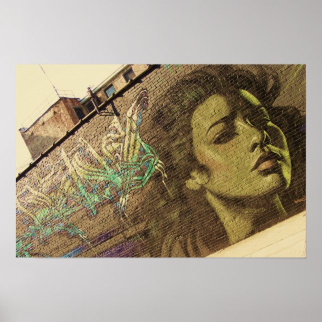 Brooklyn Graffitti Wall Poster (Framsidan)