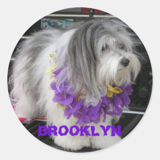 BROOKLYN LILA HAWAII STICKERS RUNT KLISTERMÄRKE
