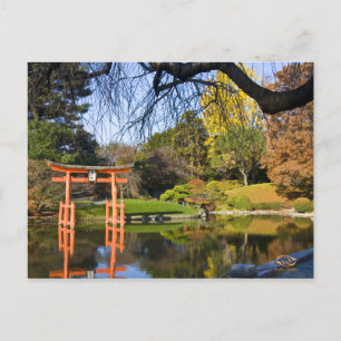 Brooklyn New York Botanic Garden Fall Vykort