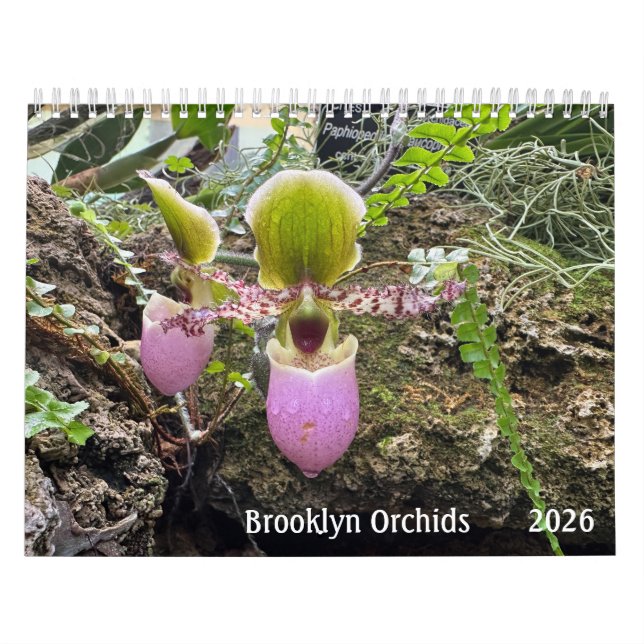 Brooklyn Orchids 2026 Calendar Kalender (Omslag)
