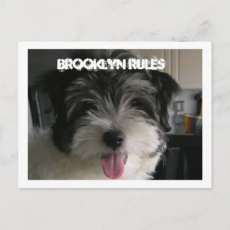 BROOKLYN REGLER POSTCARD VYKORT