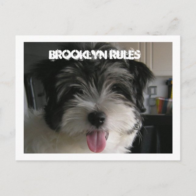 BROOKLYN REGLER POSTCARD VYKORT (Framsida)