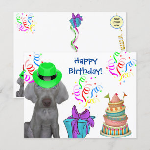 Brooklyn the Weimaraner's Birthday Helg Vykort