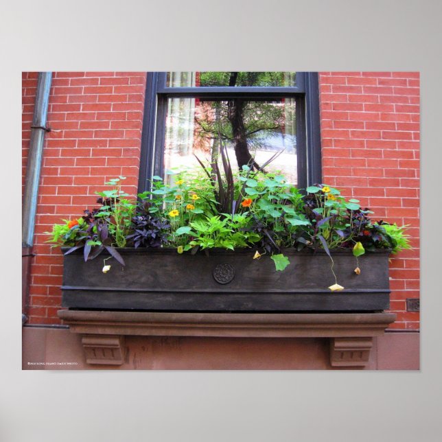 Brooklyn Window Poster (Framsidan)