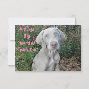 Brooklyn's Birthday Garden Party - Weimaraner Hund Tack Kort